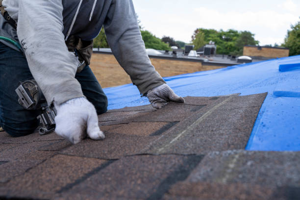 Roof Repair Estimates in Lake Elmo, MN